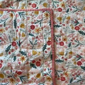 Twin size Pillow Fort quilt with sham. Smoke free home.